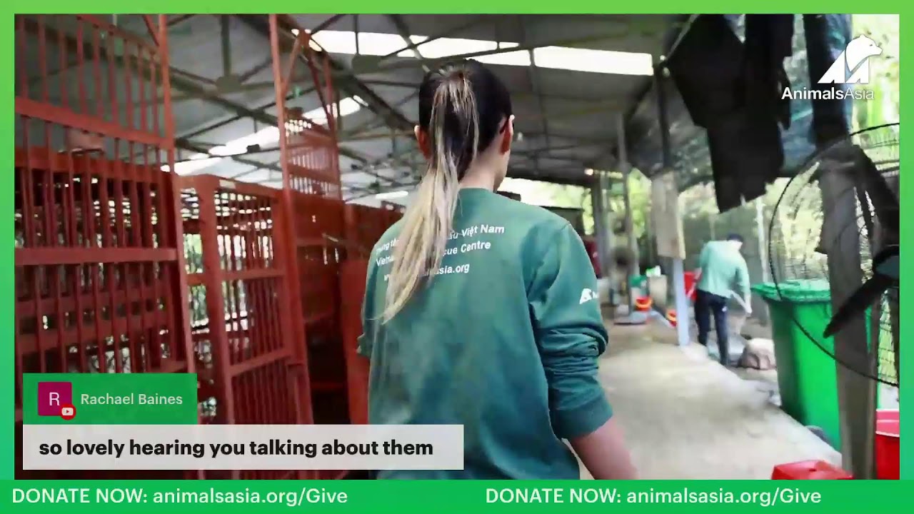 Update on the rescued bears in quarantine