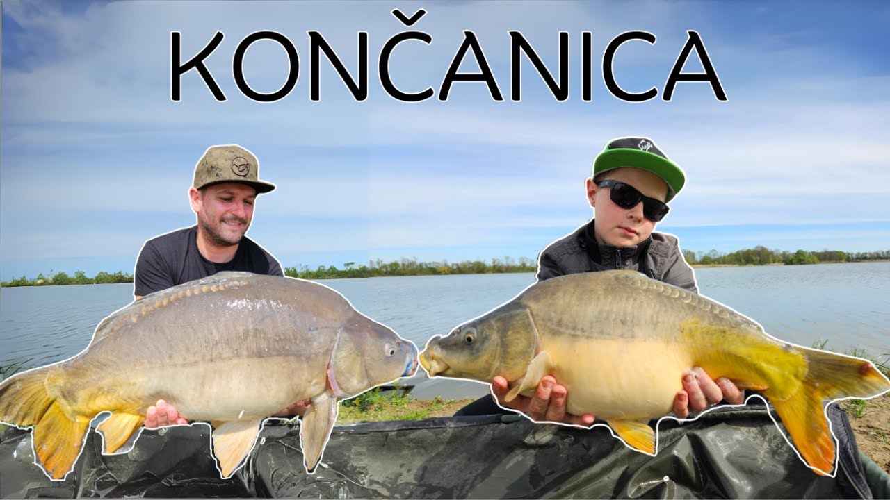 Ribnjak Končanica, šaranski ribolov