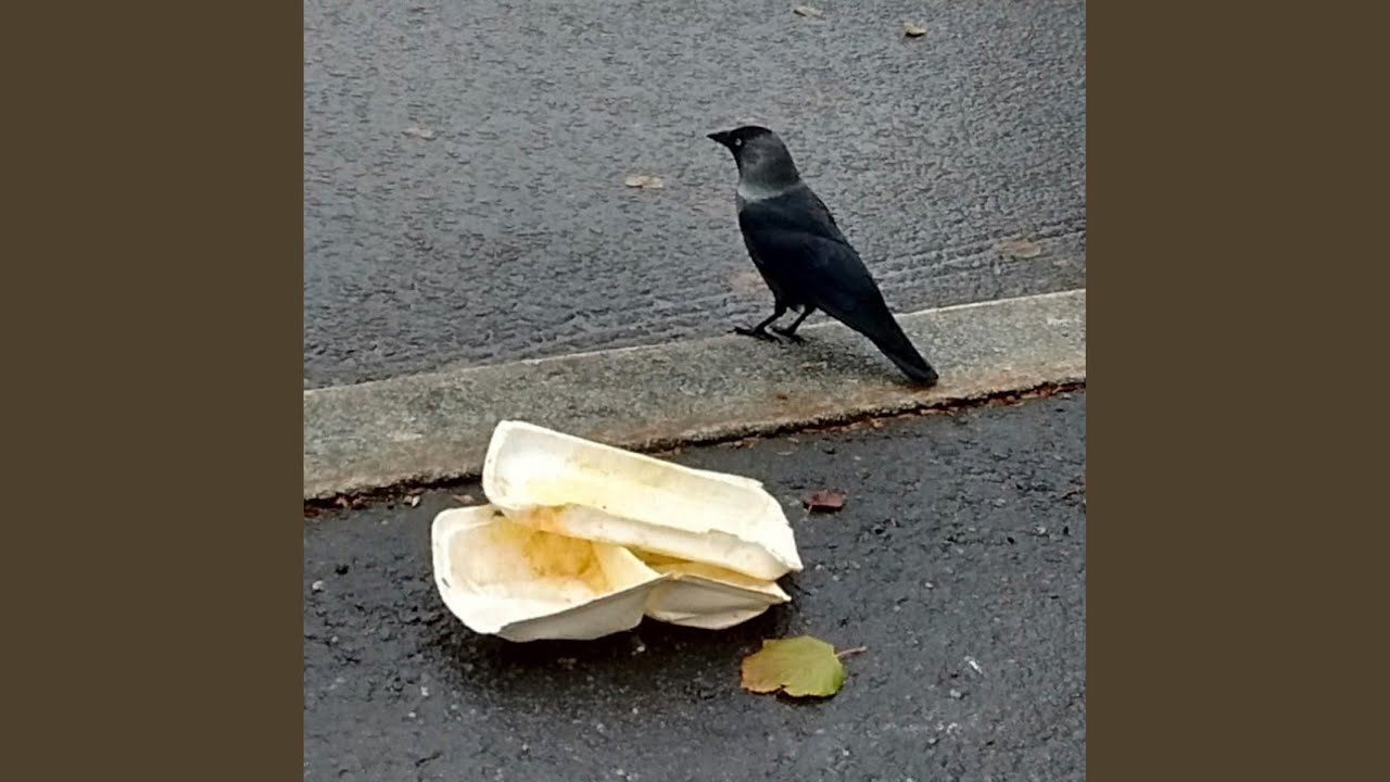 Setääntyy