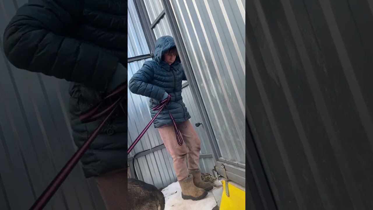 Хозяева Чипа не выдержали расставания 😊