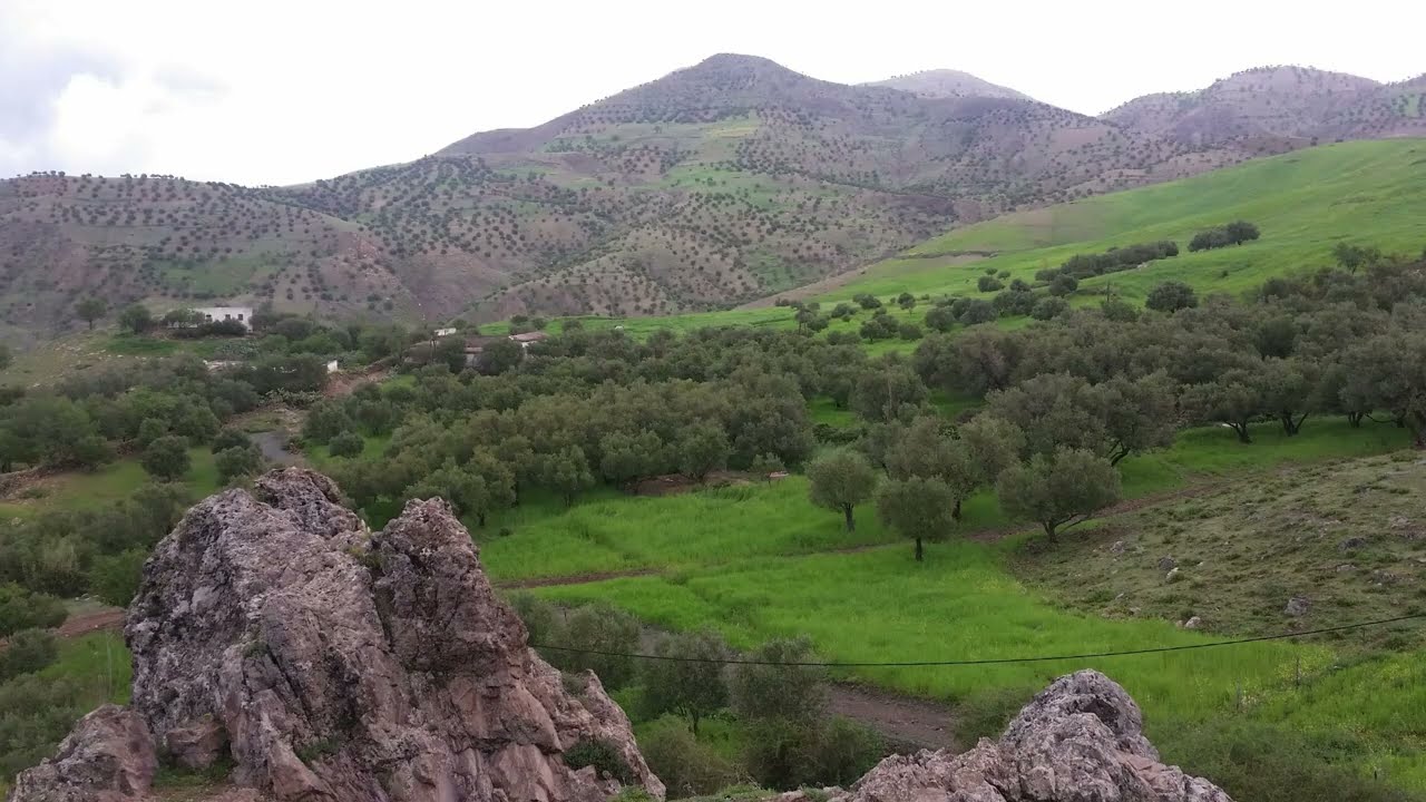 الطبيعة في القرية بني فتاح البرانس تازة 2018 Taza Elkaria  Bni Ftah