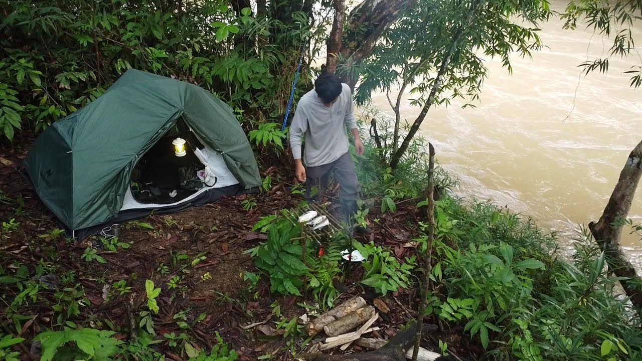 Solo camping dan mancing di Habitat binatang buas tengah hutan kalimantan