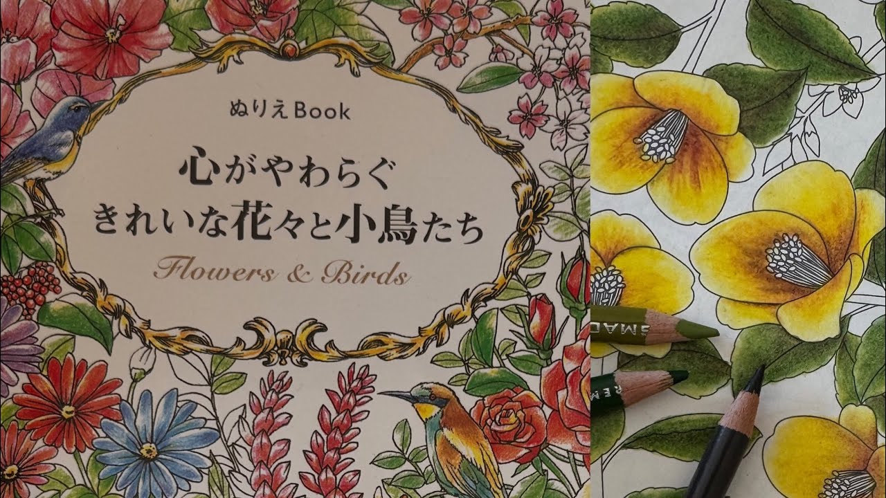Color and chat in Flowers and birds coloringbook #adultcoloring
