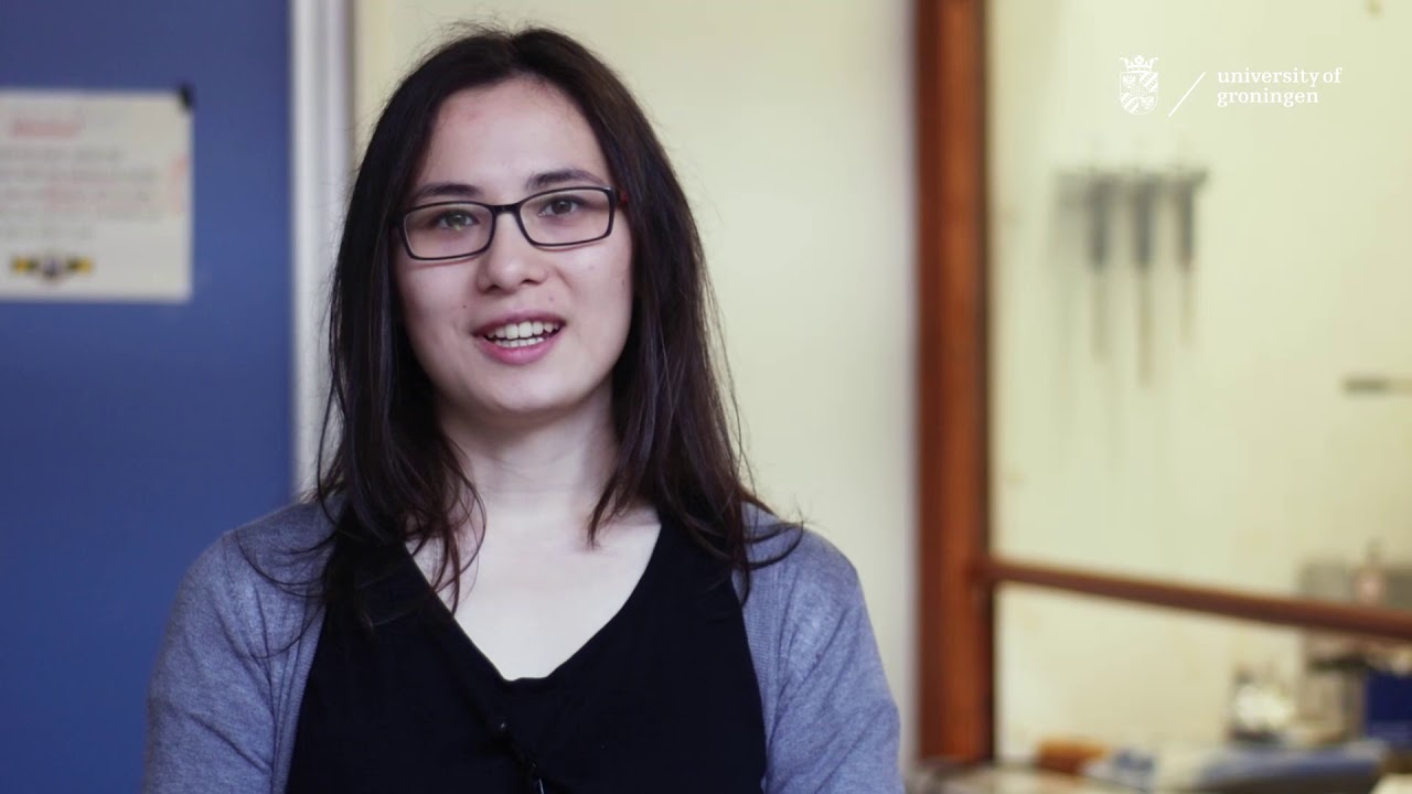 Study MSc Nanoscience at the University of Groningen | A student's experience
