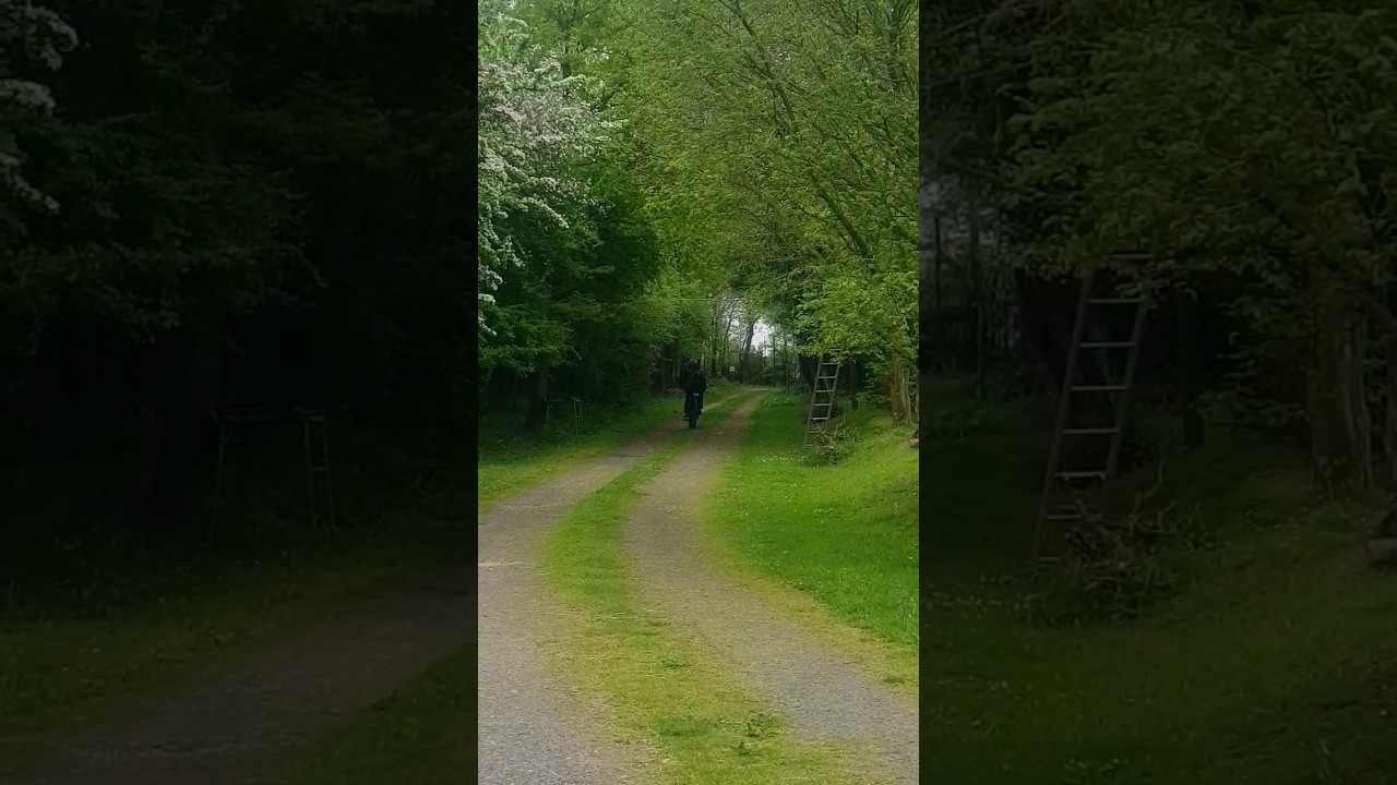 DREAMY NATURE #nature #natureshorts #naturebeauty #landscape  #serenity #countryside #campagne