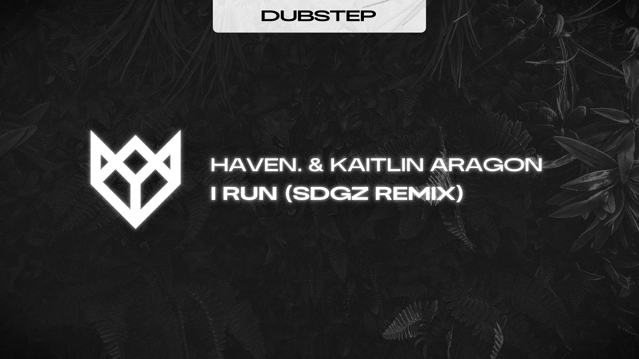 HAVEN. & KAITLIN ARAGON - I RUN (SDGZ REMIX)