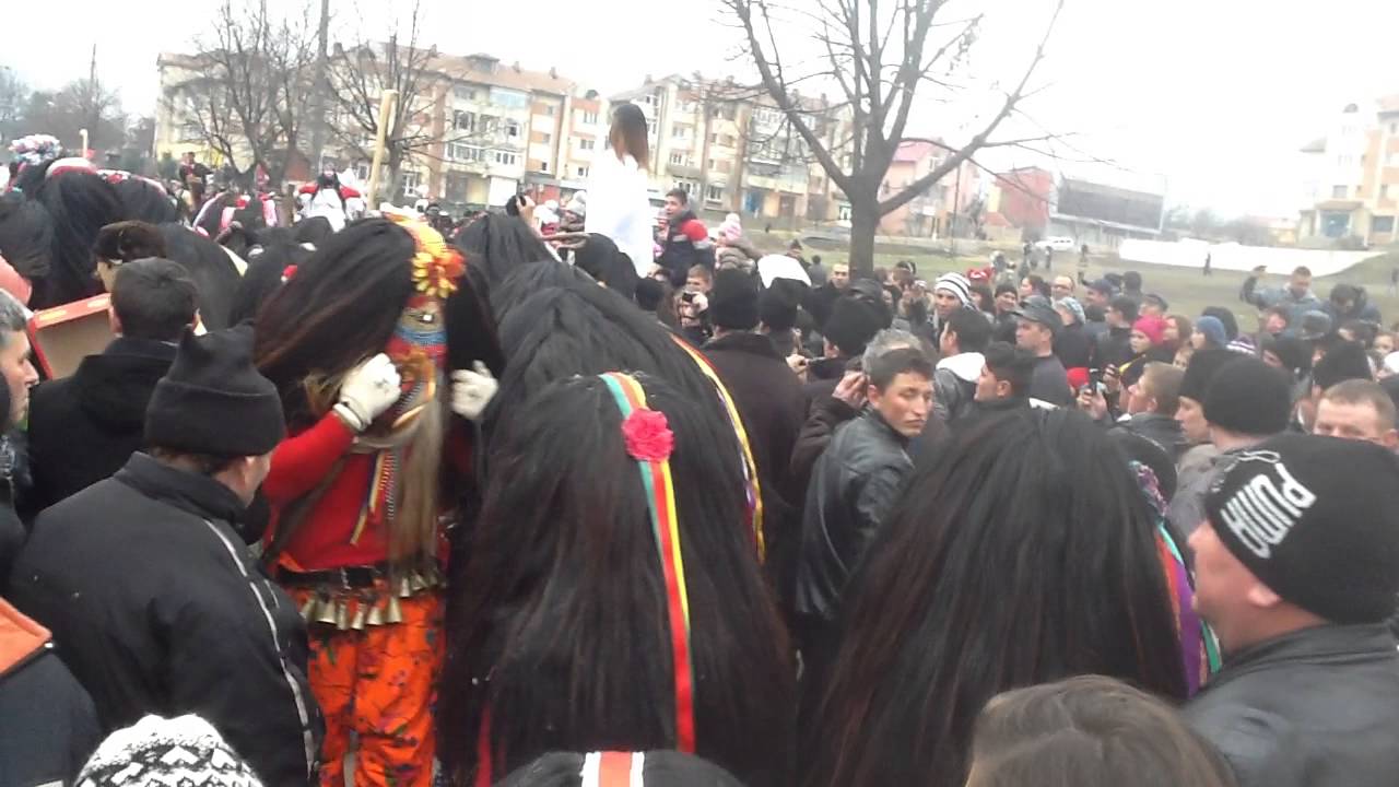 Capra Belcesti 2014 8