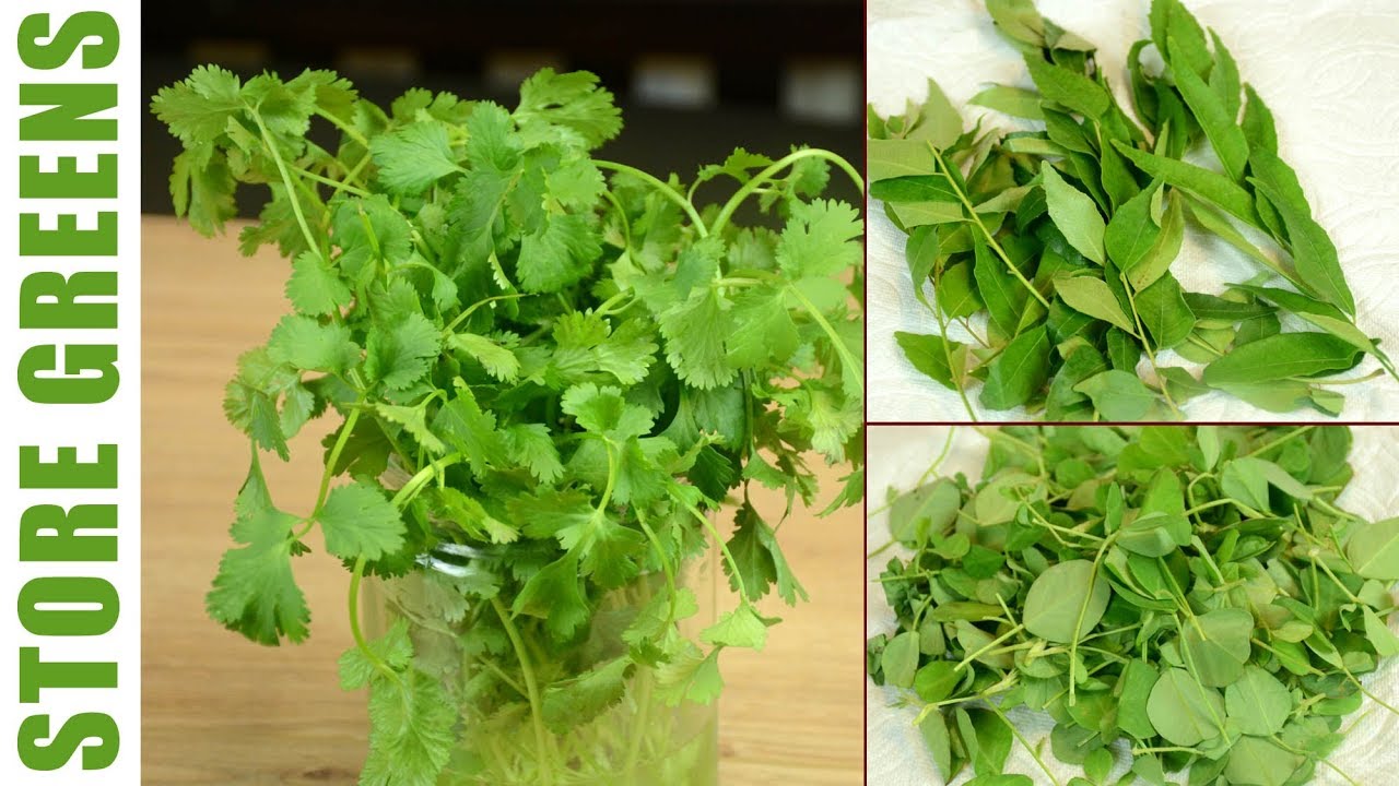 How To Store Coriander Leaves |  Fresh Greens | Kitchen Tips And Tricks