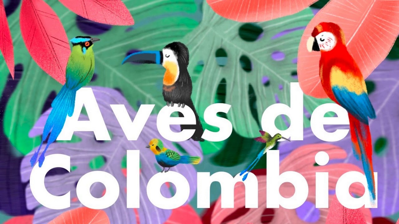 Aves de Colombia PODCAST.