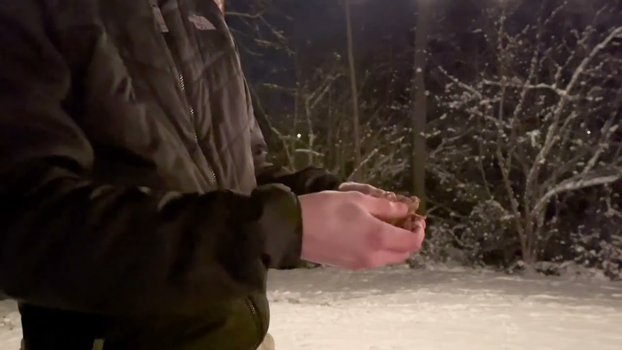 Can This Natural Firestarter and Kindling Really Light a Fire This Fast?