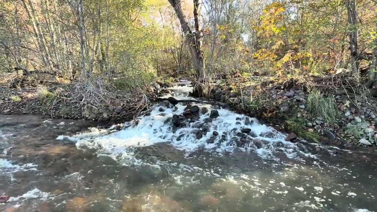 Relaxing Waterfall & Stream Sounds 🌊 10 Hours | Deep Sleep, Stress Relief, Study & Meditation