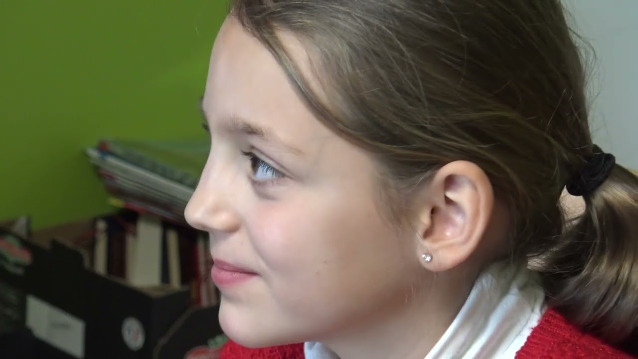 arbre des centenaires