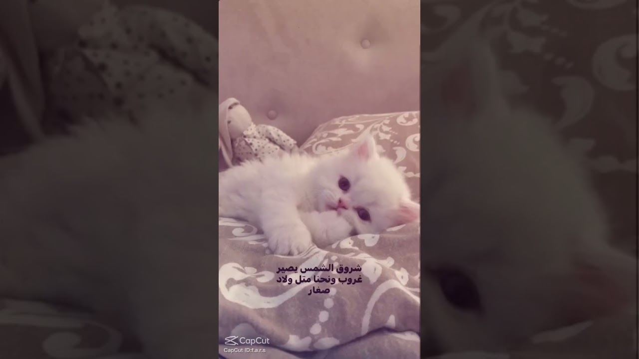 نحنا متل ولاد صغار 🤗 