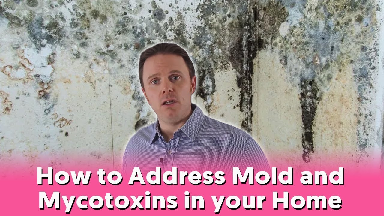 How to Address Mold & Mycotoxins in your Home
