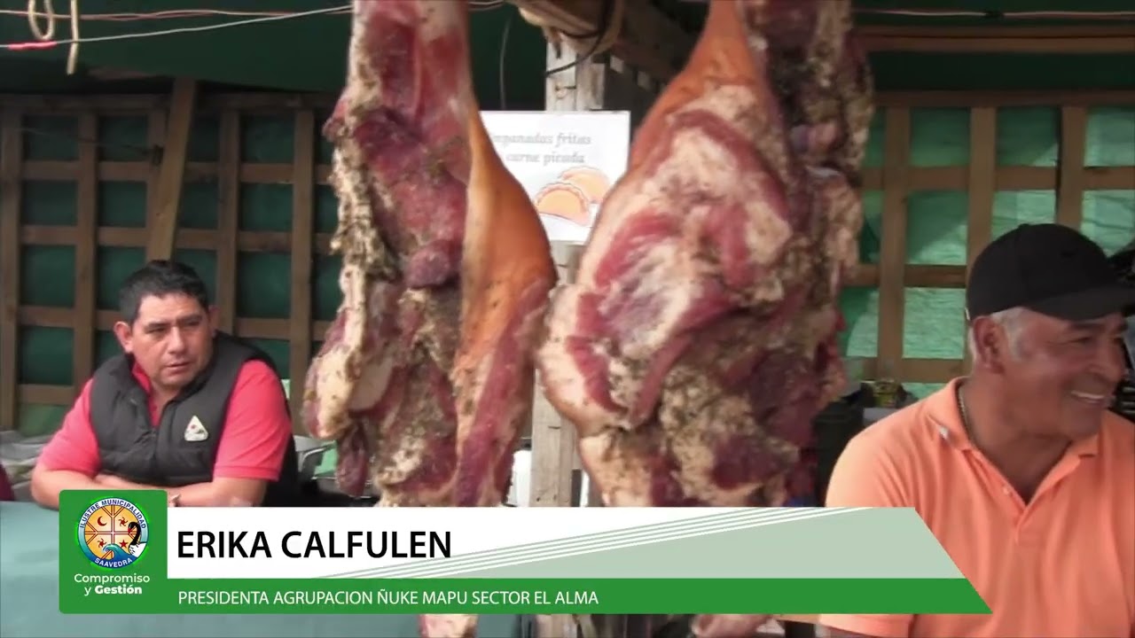 FERIA ÑUKE MAPU SECTOR EL ALMA  COMUNA DE SAAVEDRA 2026