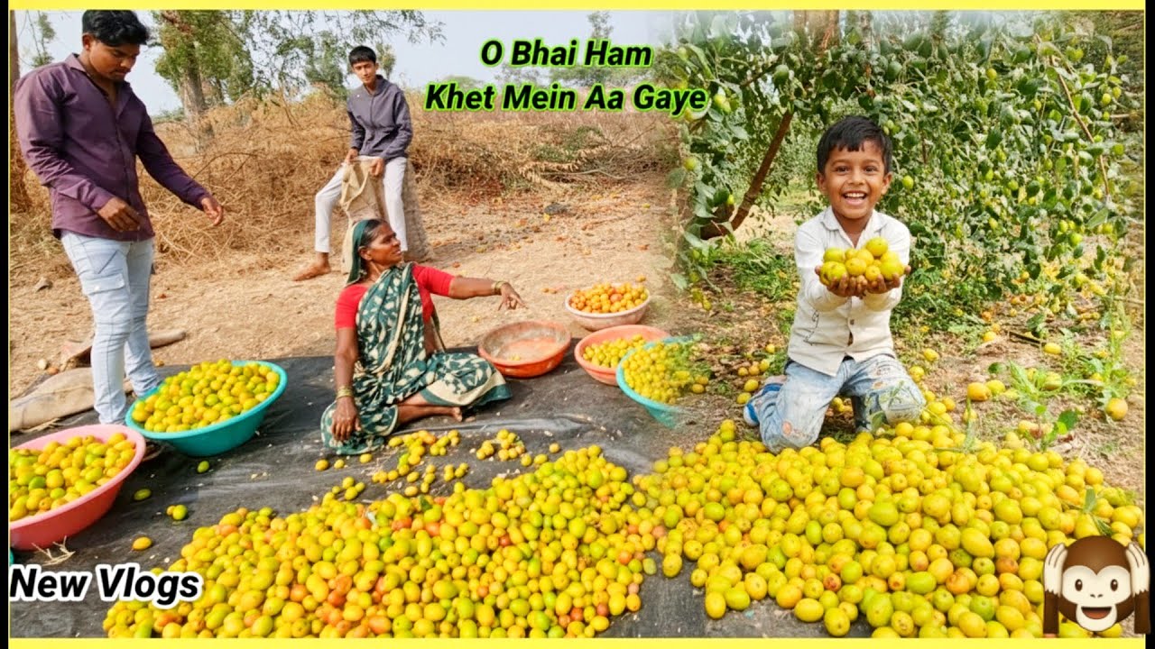 O Bhai Ham Khet Mein Aa Gaye 🙉||New Vlog Fruits 👍||#couplevlogs #familyvlog #vlogger #fruit #fruits 