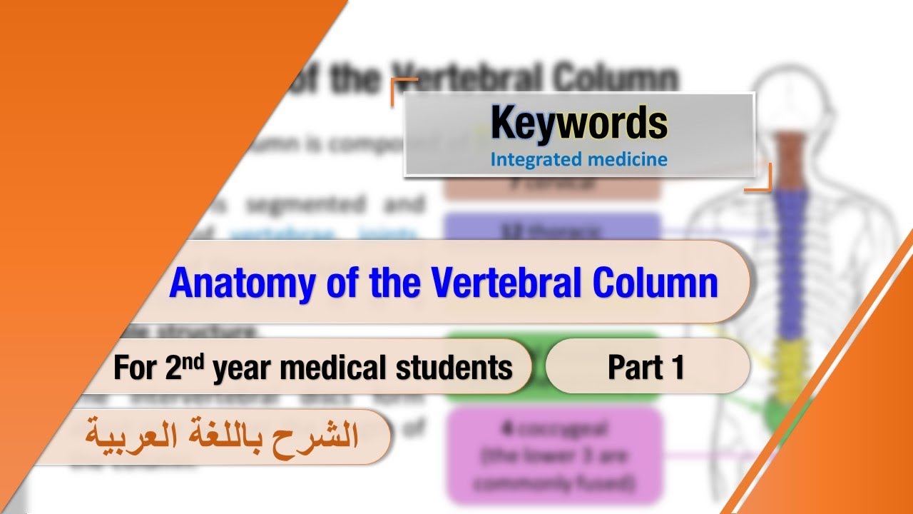 Anatomy of the Vertebral Column p1