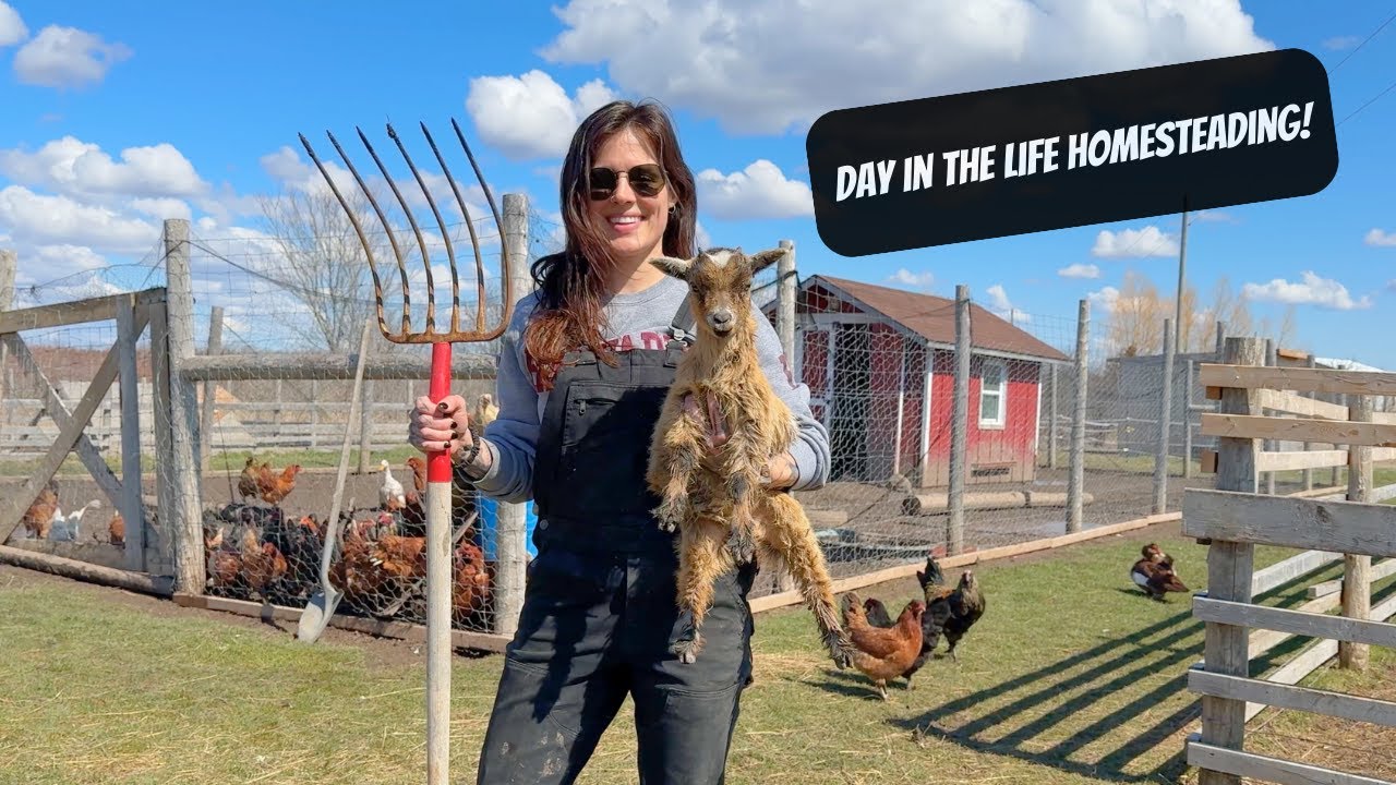 A Weekend On The Homestead | Day In The Life Homesteading