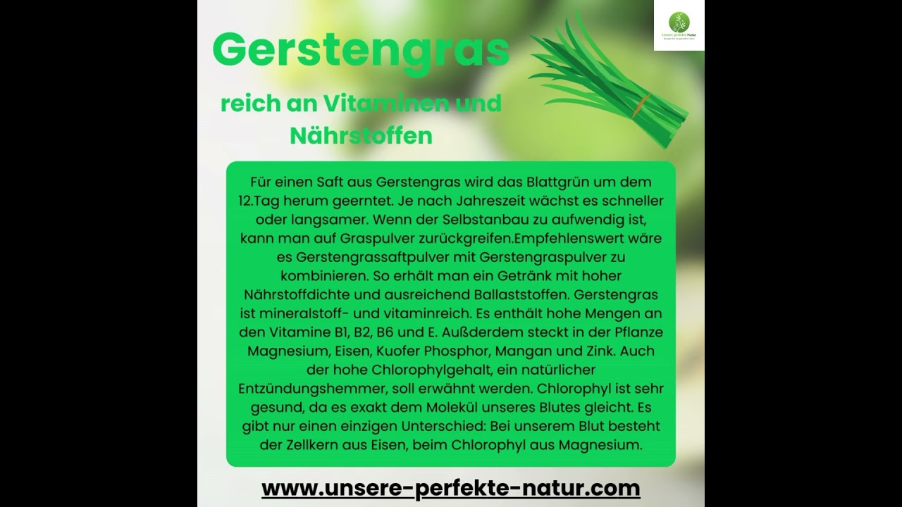 Gerstengras - reich an Vitaminen und N&auml;hrstoffen #superfood #vegan #rohvegan