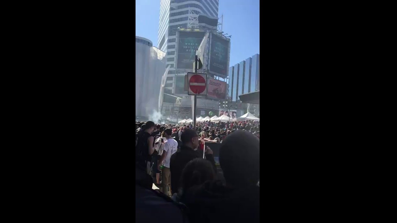 Toronto 420 !)обдолбыши