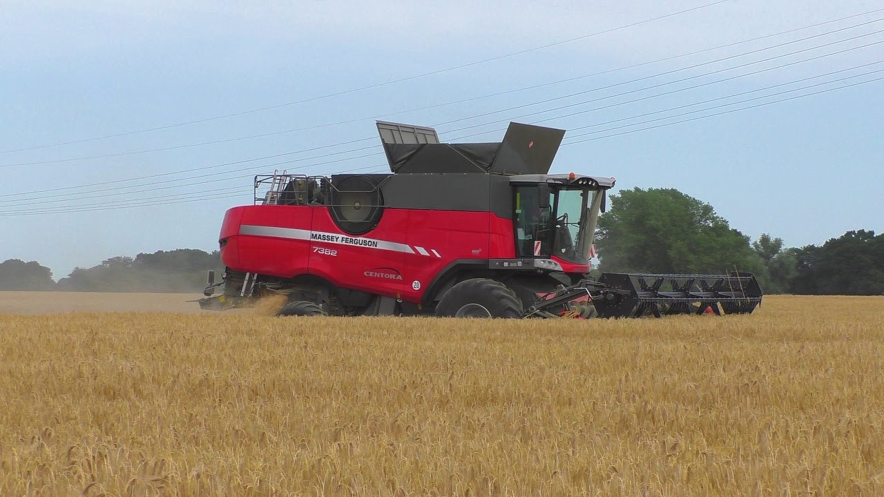 Massey Ferguson bei der Getreideernte / Barley Harvest 2015