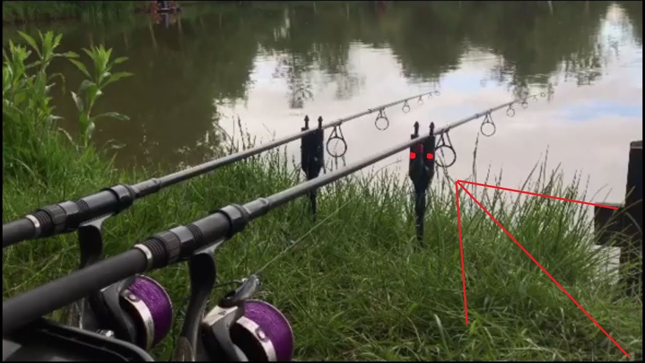 Carp Run COMPILATION 2020! PART 18!