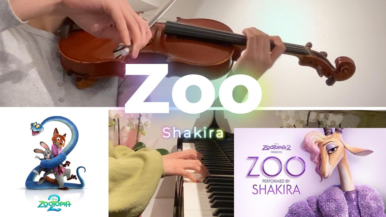 Zoo  - Shakira  | piano & violin cover