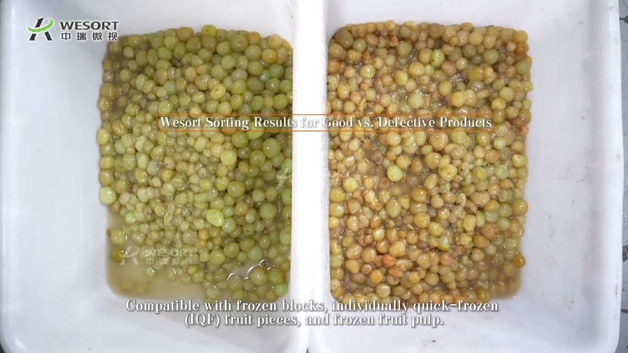 AI Fruit Sorting Machine | Mango, Blueberry, Grape Sorting with Defect Detection