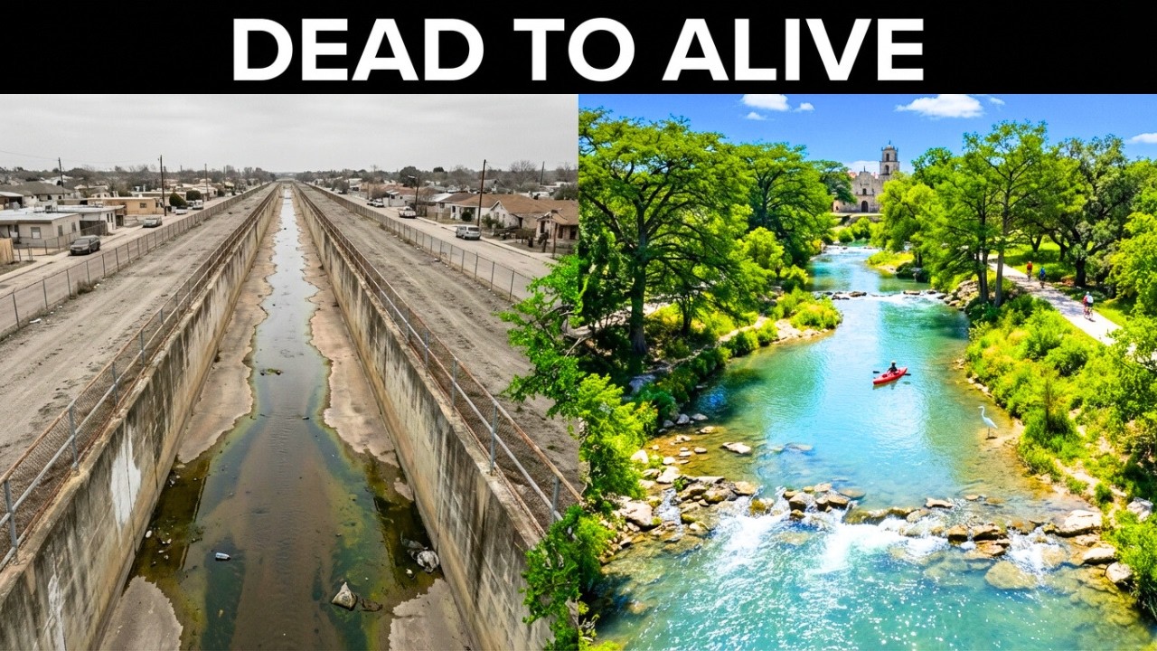 How Texas Turned a Concrete Ditch Into a Living Ecosystem and Nobody Expected This