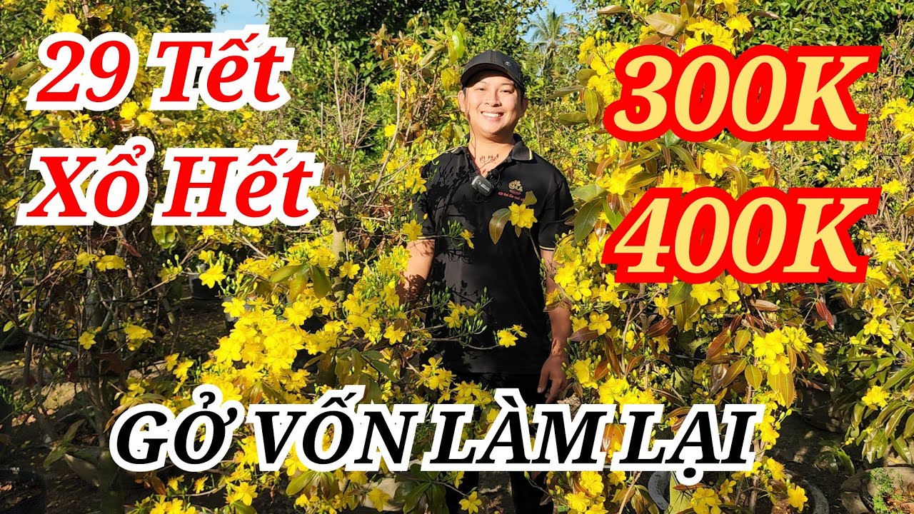 📞 PHONG 0359611594 MAI TÀNG CHƠI TẾT XỔ RẺ LÀM LẠI MÙA MỚI BAO SHIP 16/02/2026 | Bến Tre Ơi