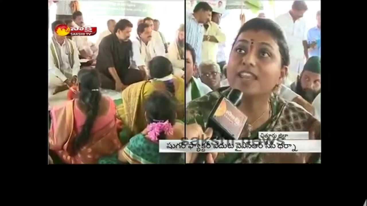 YSRCP MLA RK Roja slams Chandrababu Naidu