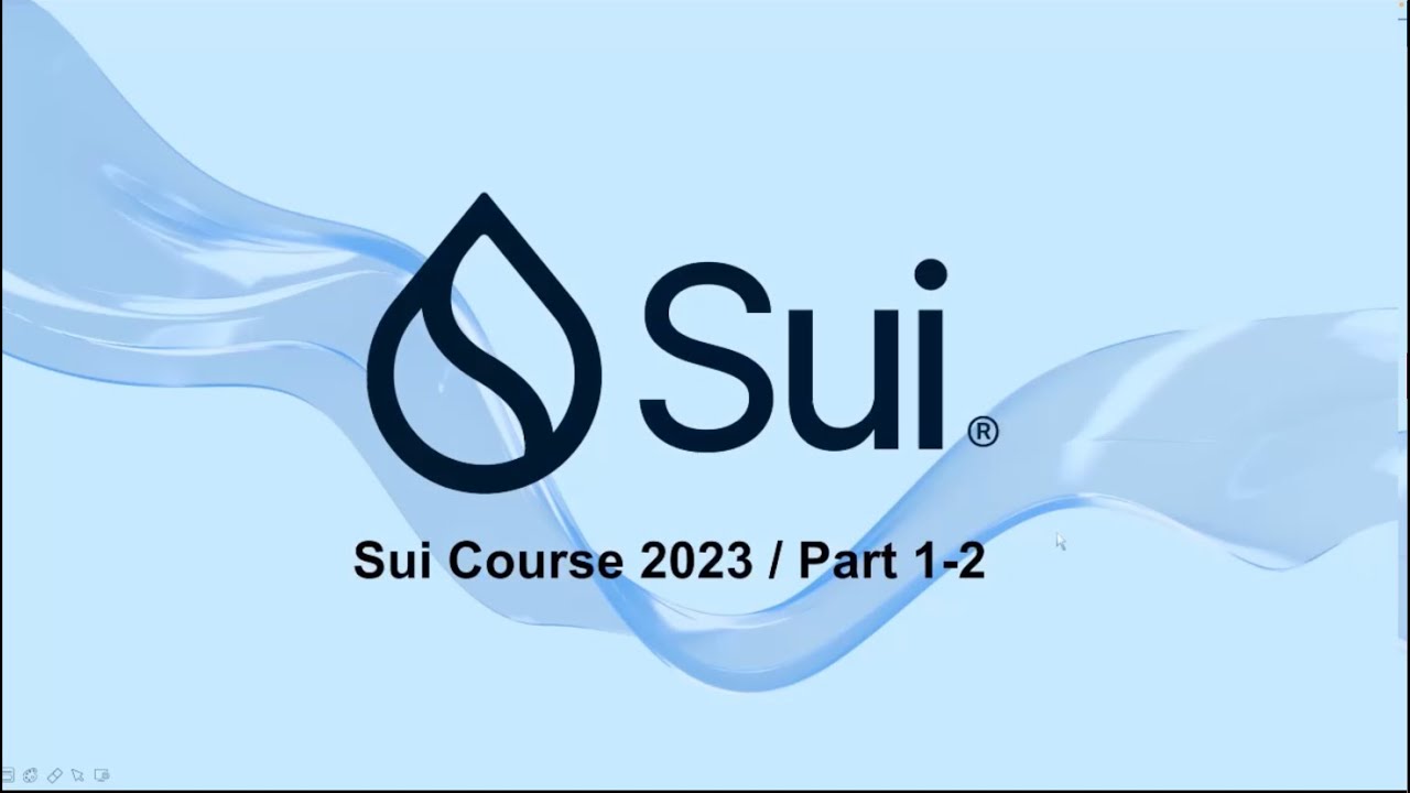 Move on Sui Environment Setup | Move on Sui Course 1.2