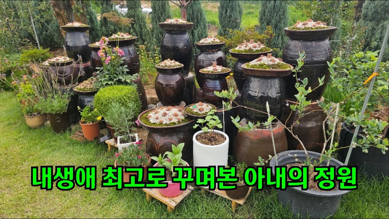 내생애 최고로 꾸며본 우아한 아내의 정원