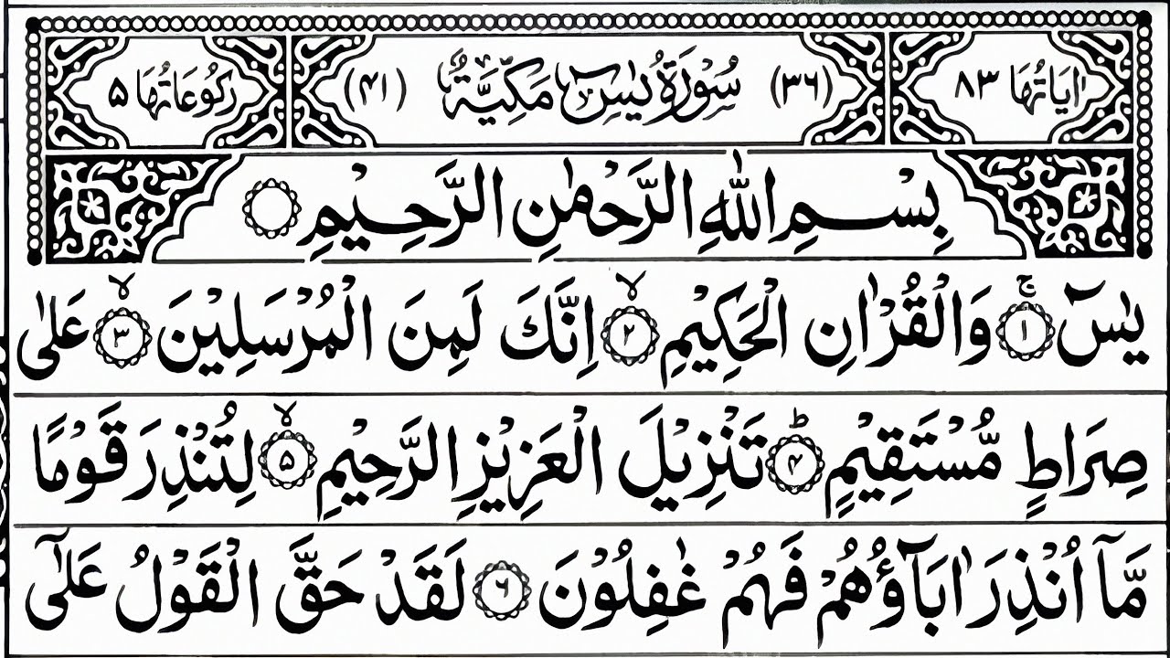 Surah Yasin (Yaseen) || Episode 338|| Quran Dua Network surah yaseen surah rahman surah waqia wazifa