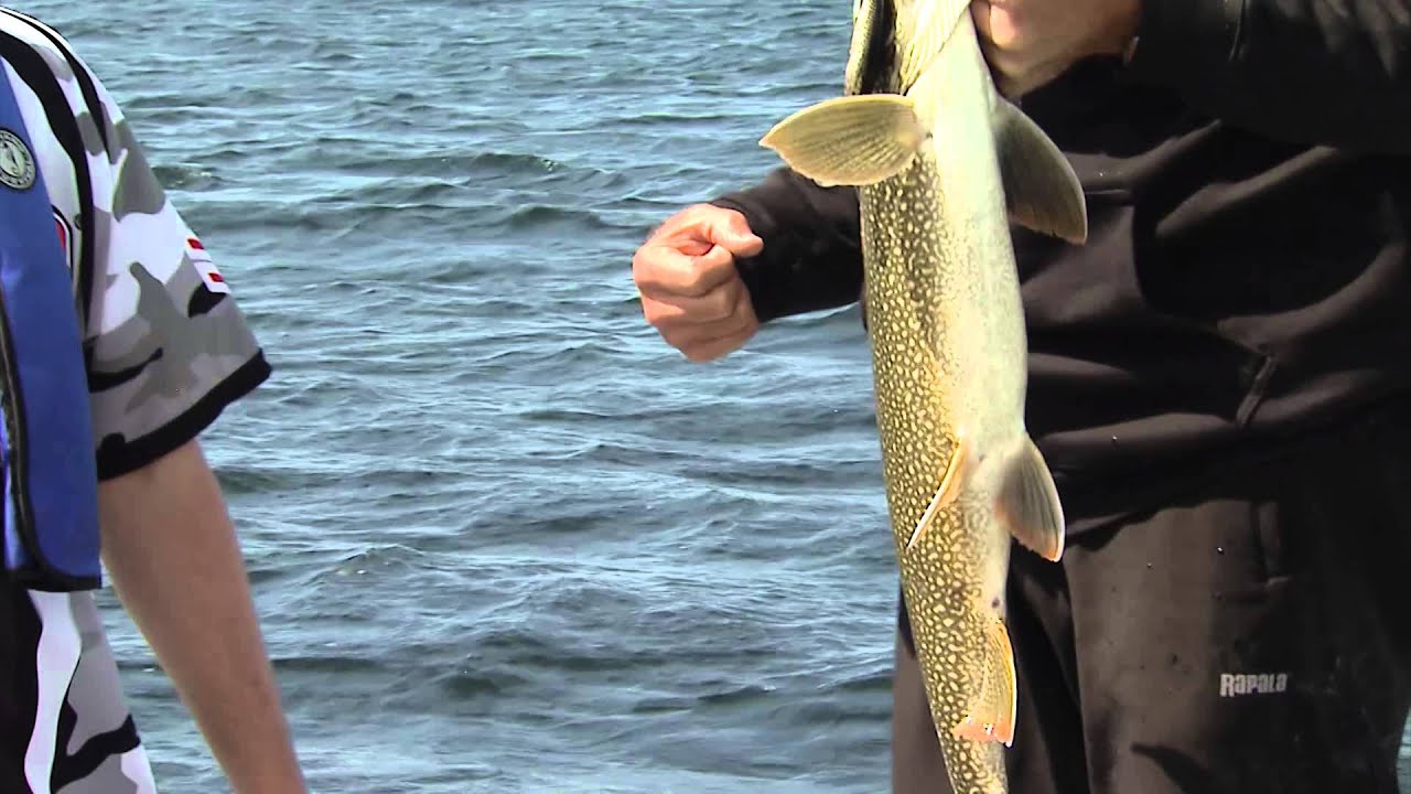 Fishing for lake trout, brook trout, pike and walleye, Elk Island Lodge, God&rsquo;s Lake, Manitoba
