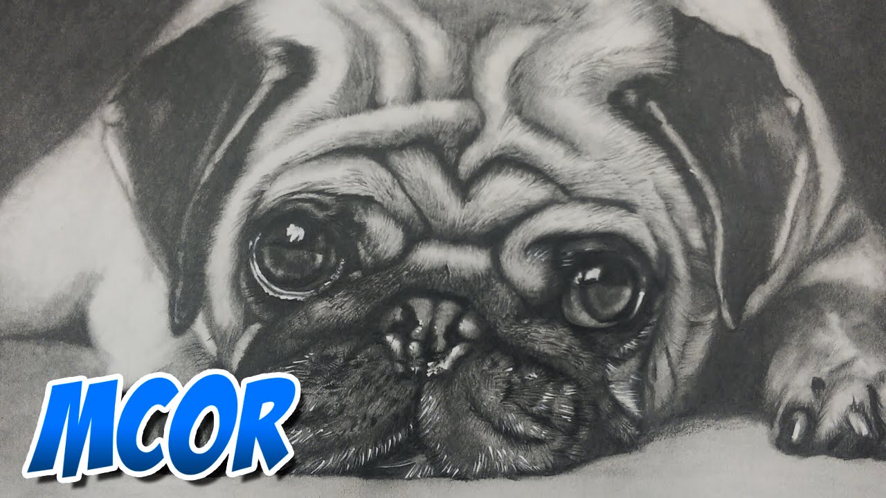 Dibujando un Perrito Pug