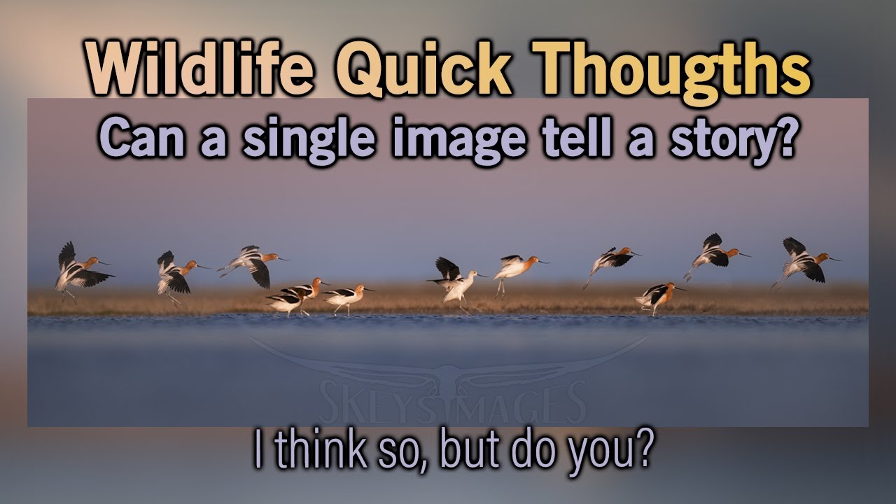 Context and Storytelling with a Single Image
