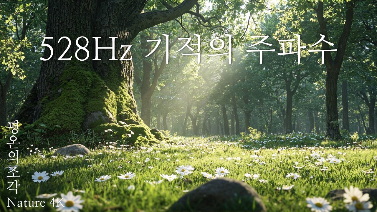 【지친 마음의 휴식 · 100% 광고 없음】 뇌 피로를 녹여내는 치유의 소리 ｜ 깊은 숙면, 집중력 향상, 정서적 안정을 위한 공간 (528Hz)