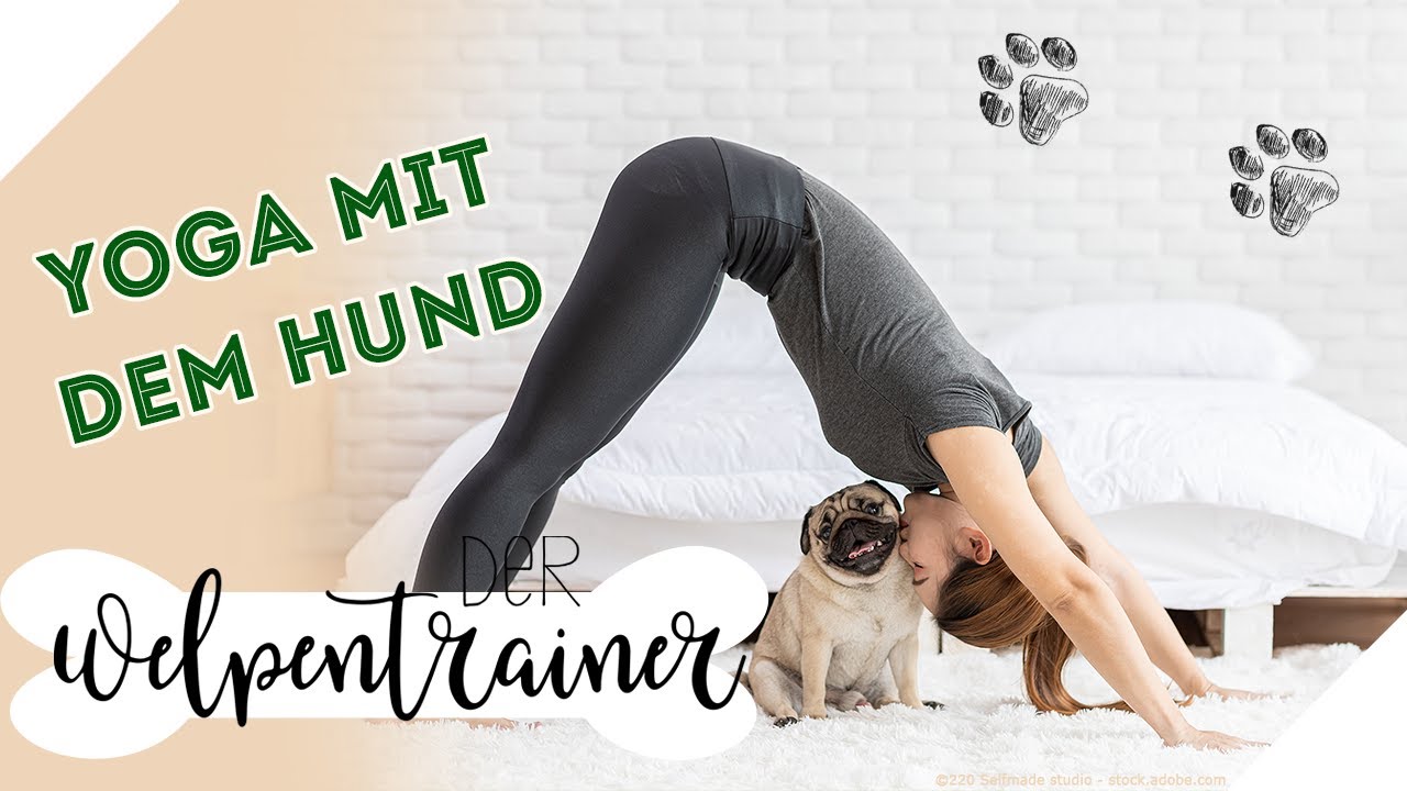 Entspannung pur: Yogaübungen für Hund & Mensch | Der Welpentrainer | sixx