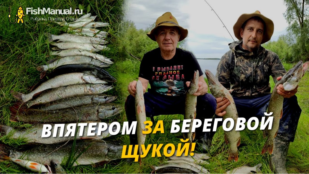 Впятером за береговой щукой! Съездили хищника половить да комаров покормить!
