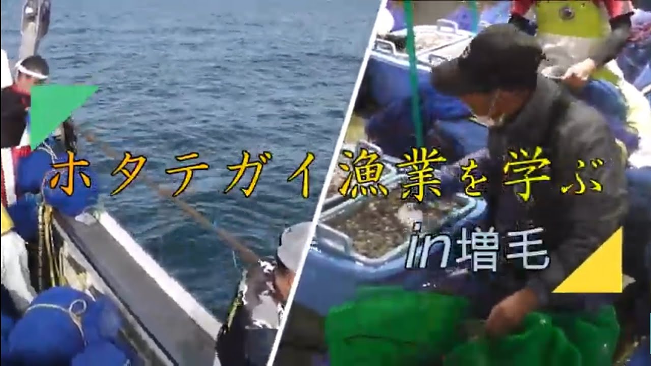【公式ﾁｬﾝﾈﾙ開設特別配信】ホタテガイ漁業を学ぶin増毛