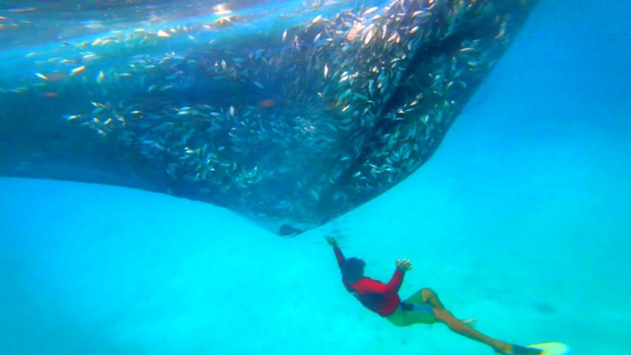 Thousand Kilos of Fish | Unang Hango sa Baklad
