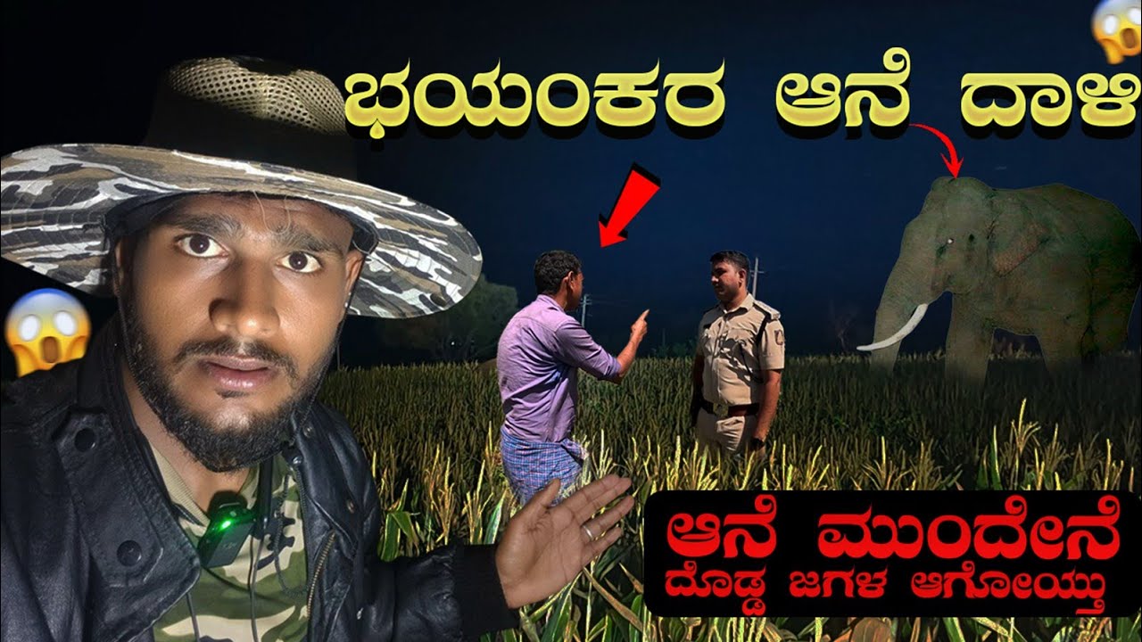 ಈತರ ಯಾವತ್ತೂ ಆಗಿರ್ಲಿಲ್ಲ🤦 Wild Elephant Attack🐘 | Village | Farmers | Avatar Shiva Official