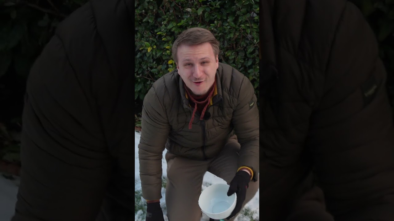 Die perfekte Schneekugel mit einer Schale machen!😍