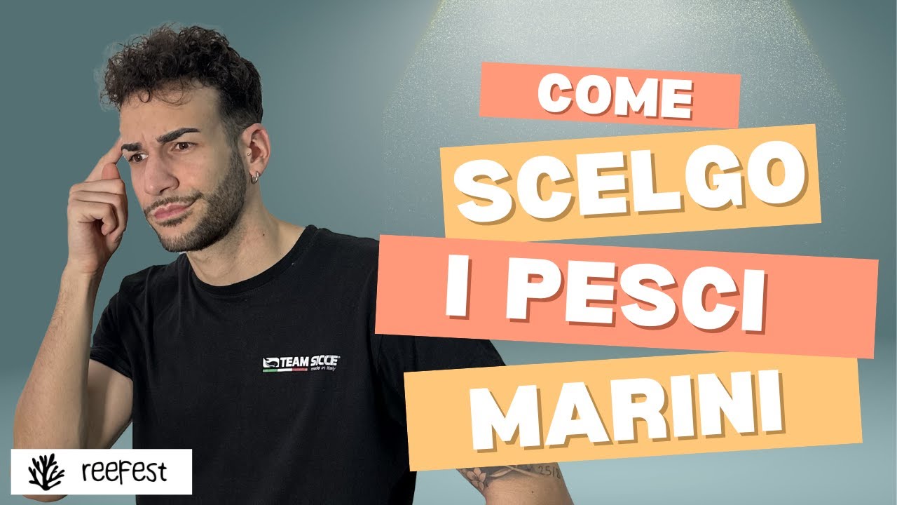 NON SBAGLIARE! Come scelgo i Pesci per il Mio Acquario Marino