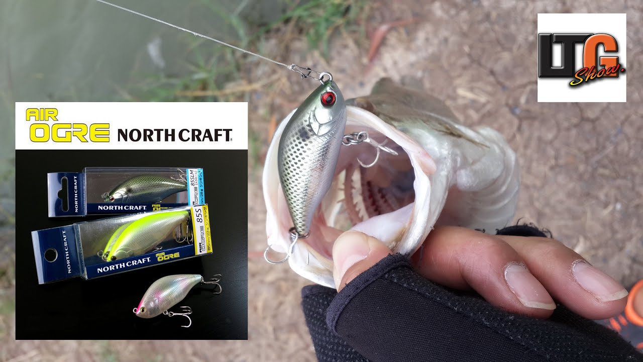 north craft  air ogre