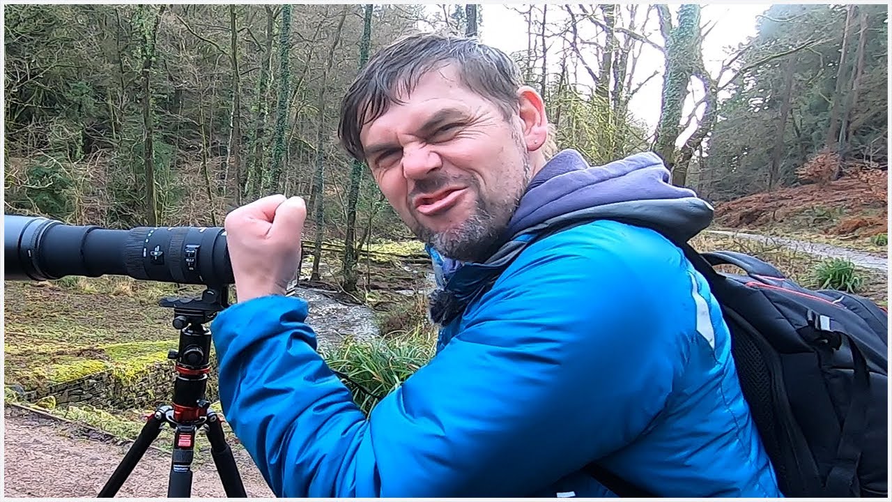 Photographing Kingfishers | Wildlife Photography | Nature photography