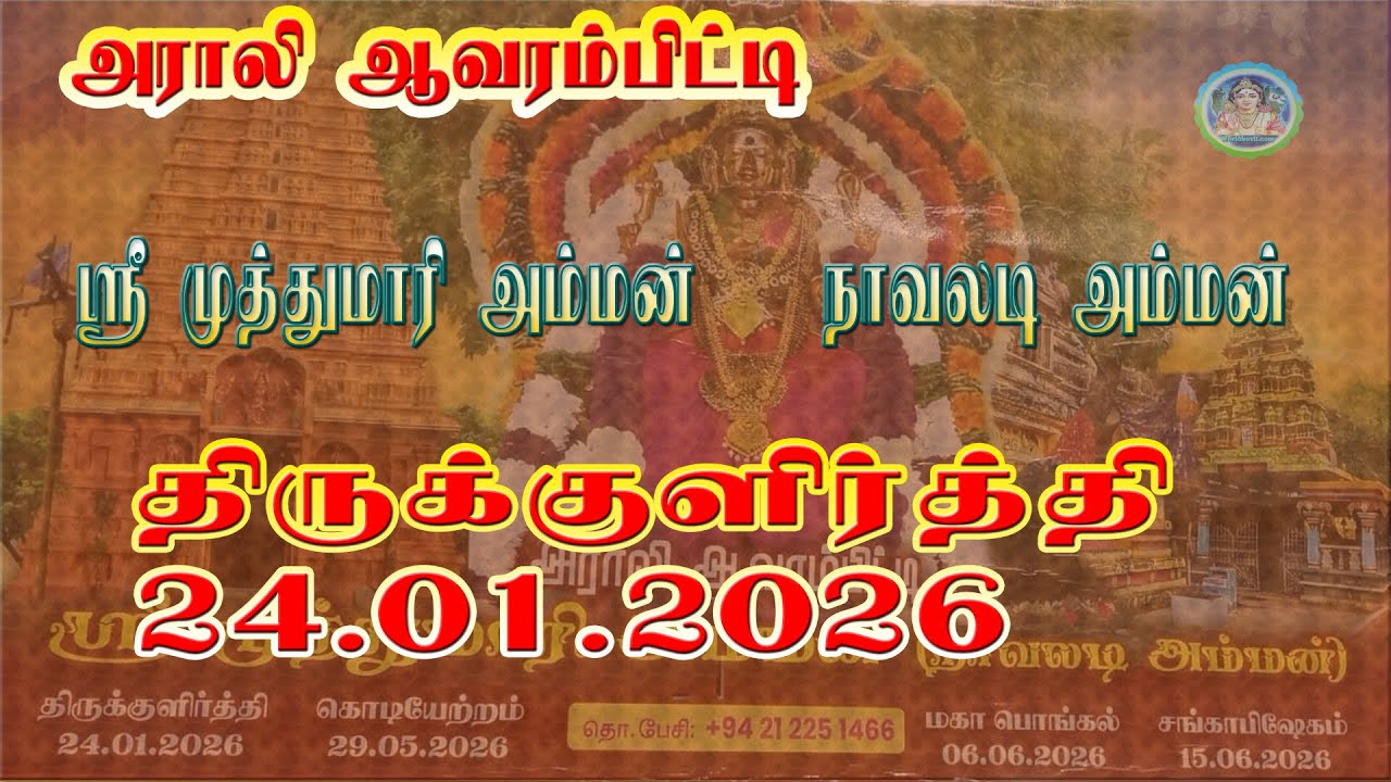 #திருக்குளிர்த்தி#  Araly Amman அராலி ஆவரம்பிட்டி ஸ்ரீ முத்துமாரி அம்மன்..நாவலடி அம்மன்