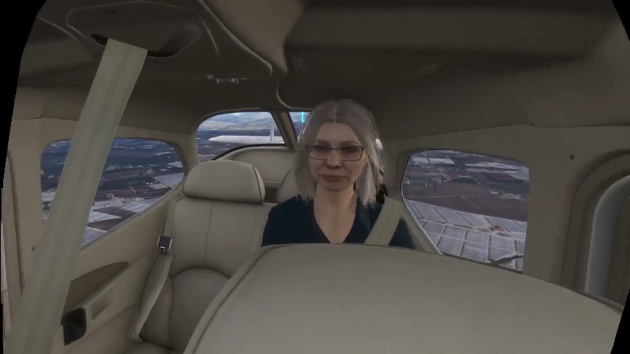 Microsoft Flight Simulator 2024 VR