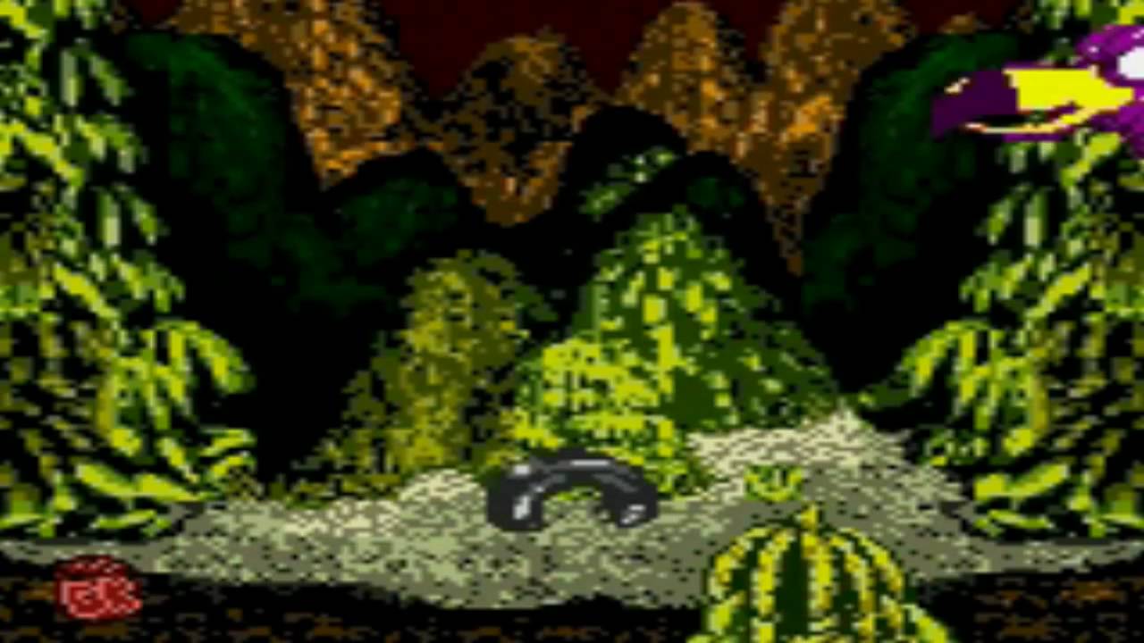 Donkey Kong Country [GBC] - Necky's Revenge